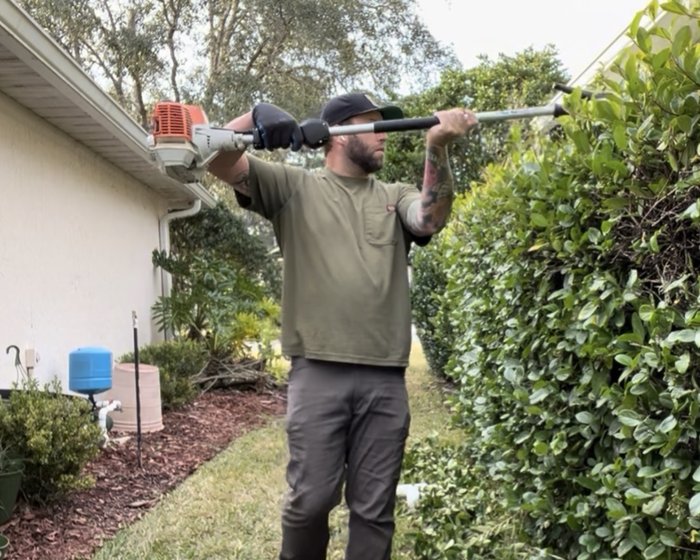 Hedge Trimming