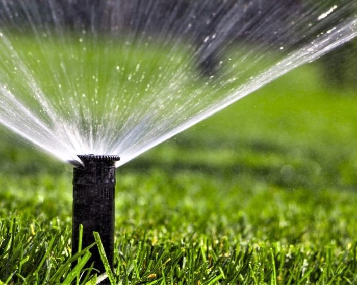 Sprinkler watering a lawn