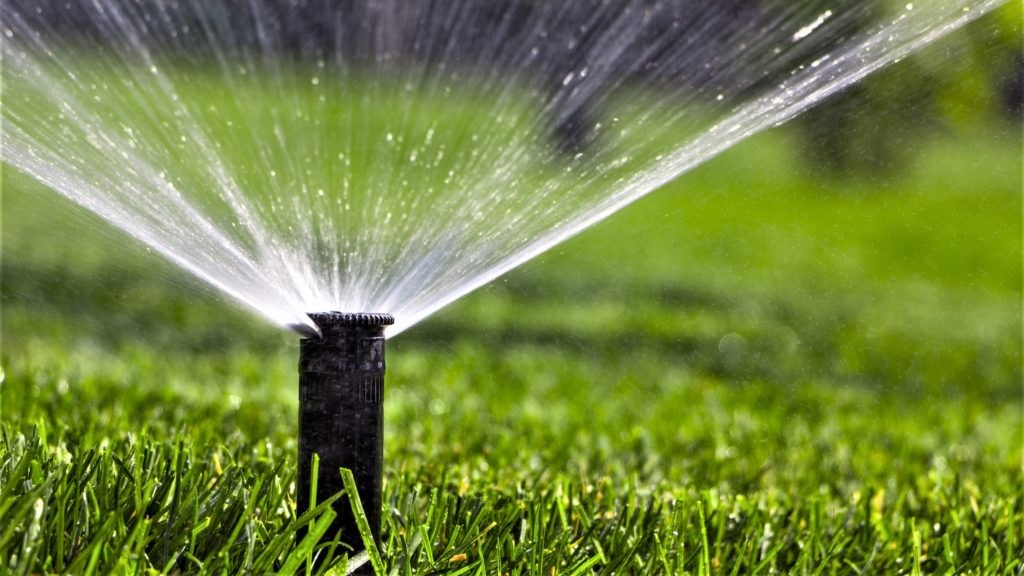 Sprinkler watering a Florida lawn