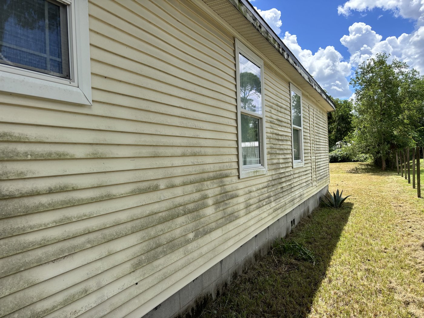 Vinyl siding covered in algae and mildew before soft washing