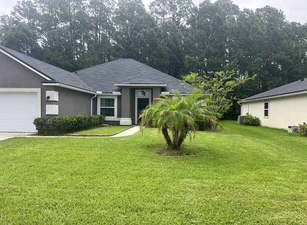 Manicured lawn with palm tree accent